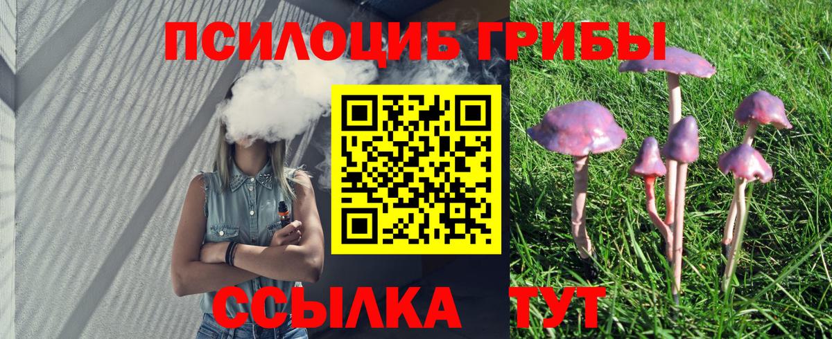 Галлюциногенные грибы прущие грибы Балашиха