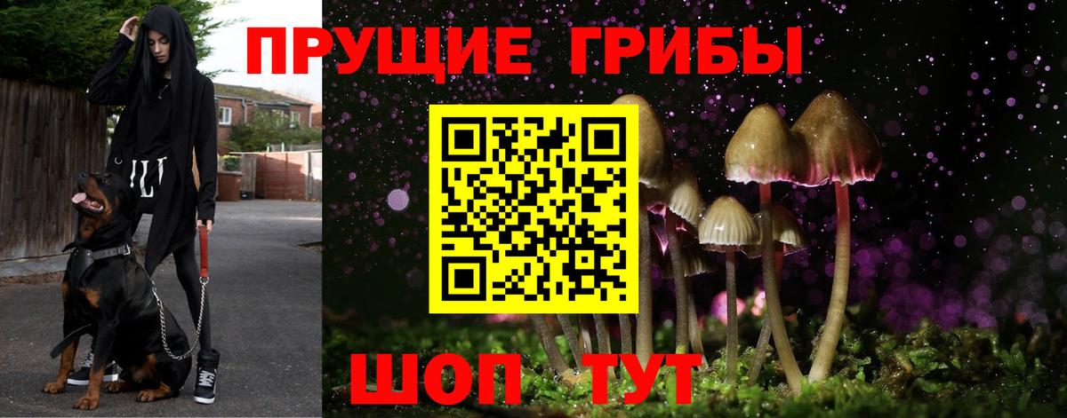 Балашиха  Галлюциногенные грибы мухоморы  Вход с VPN 